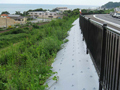 福島県いわき地区