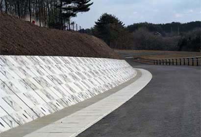岩手県岩泉地区