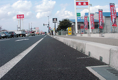 新潟県新潟地区