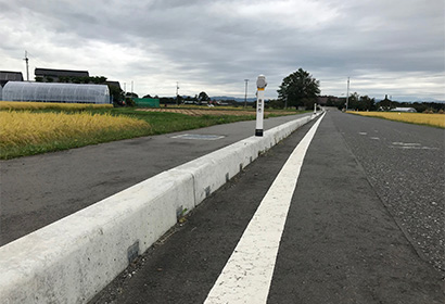 岩手県奥州地区