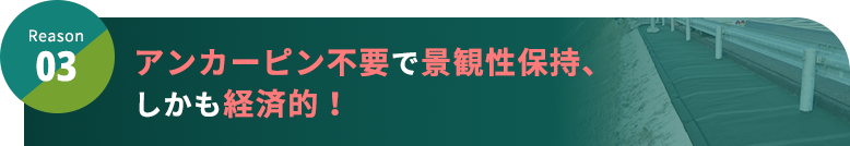 Reason3 アンカーピン不要で景観性保持、しかも経済的！